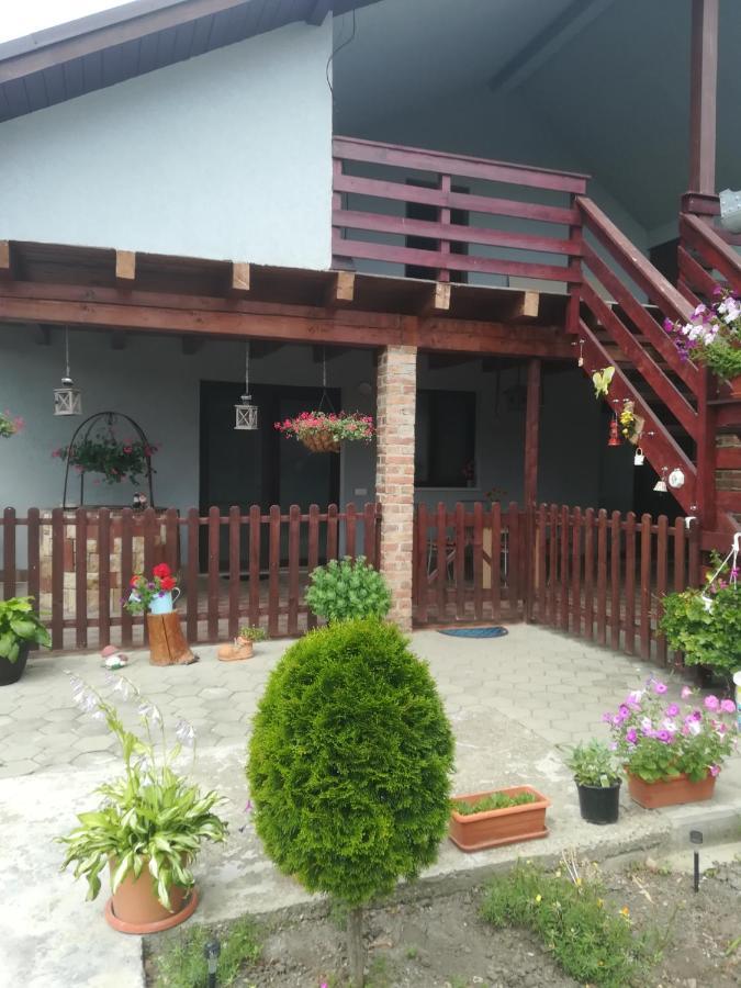 הוילה Tritenii de Jos Casa Ricciotti מראה חיצוני תמונה
