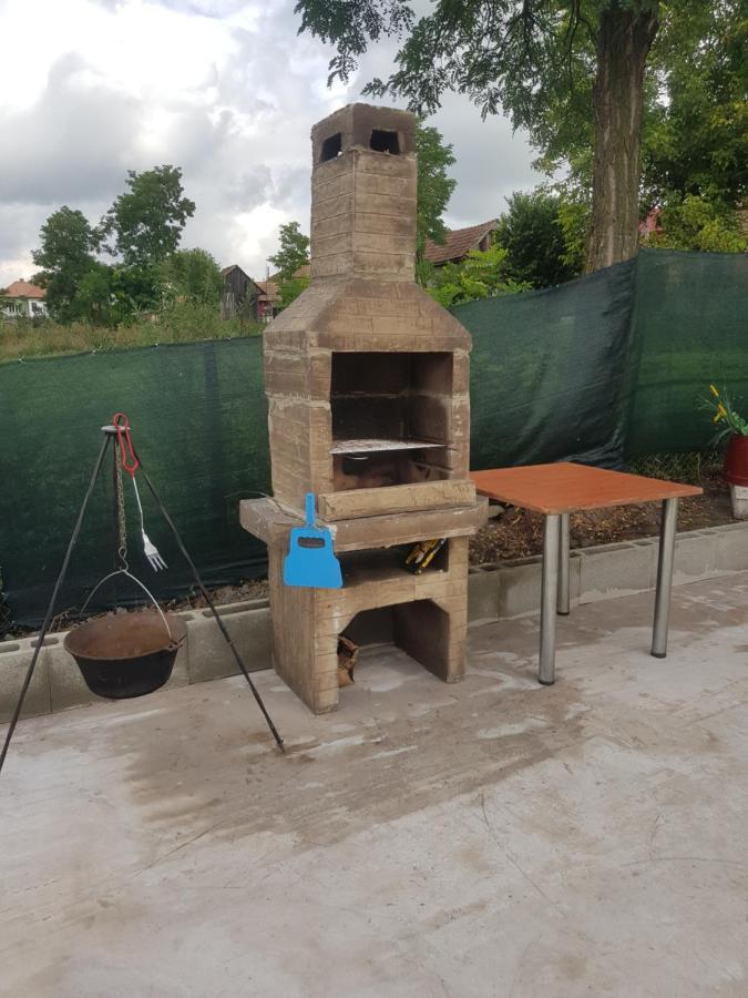 הוילה Tritenii de Jos Casa Ricciotti מראה חיצוני תמונה